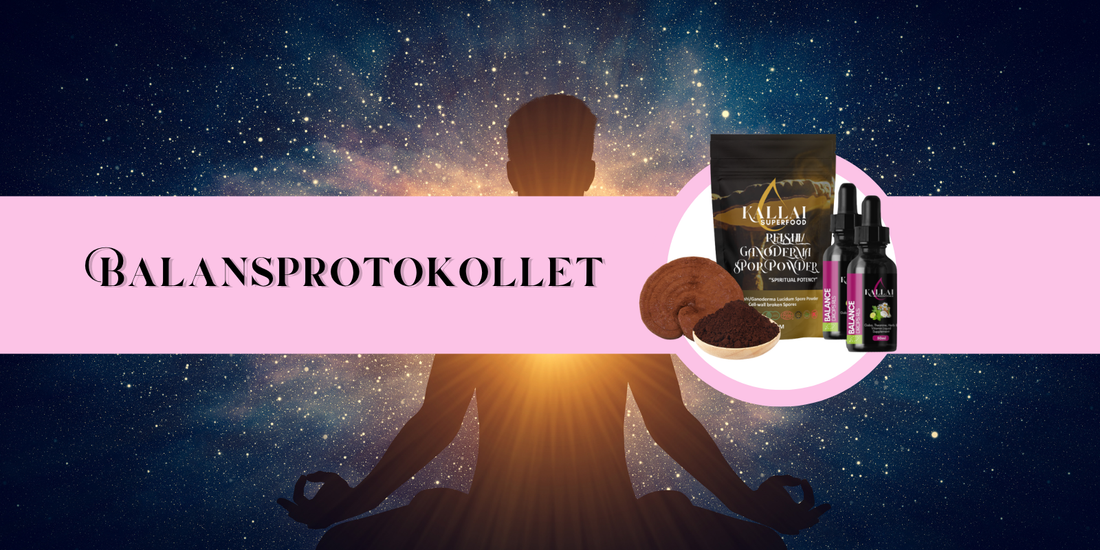 Öppna upp för välmående med Balansprotokollet