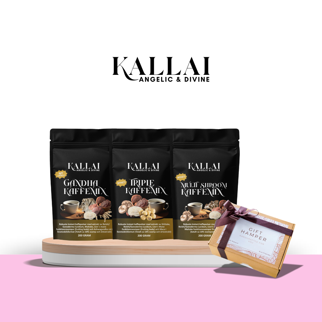PAKET & PRESENTER