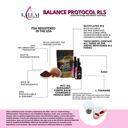 Balansprotokollet Deluxpaket