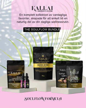 SoulFlow Protokollet specialpaket