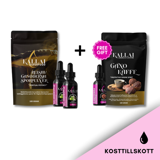 Balansprotokollet Deluxpaket