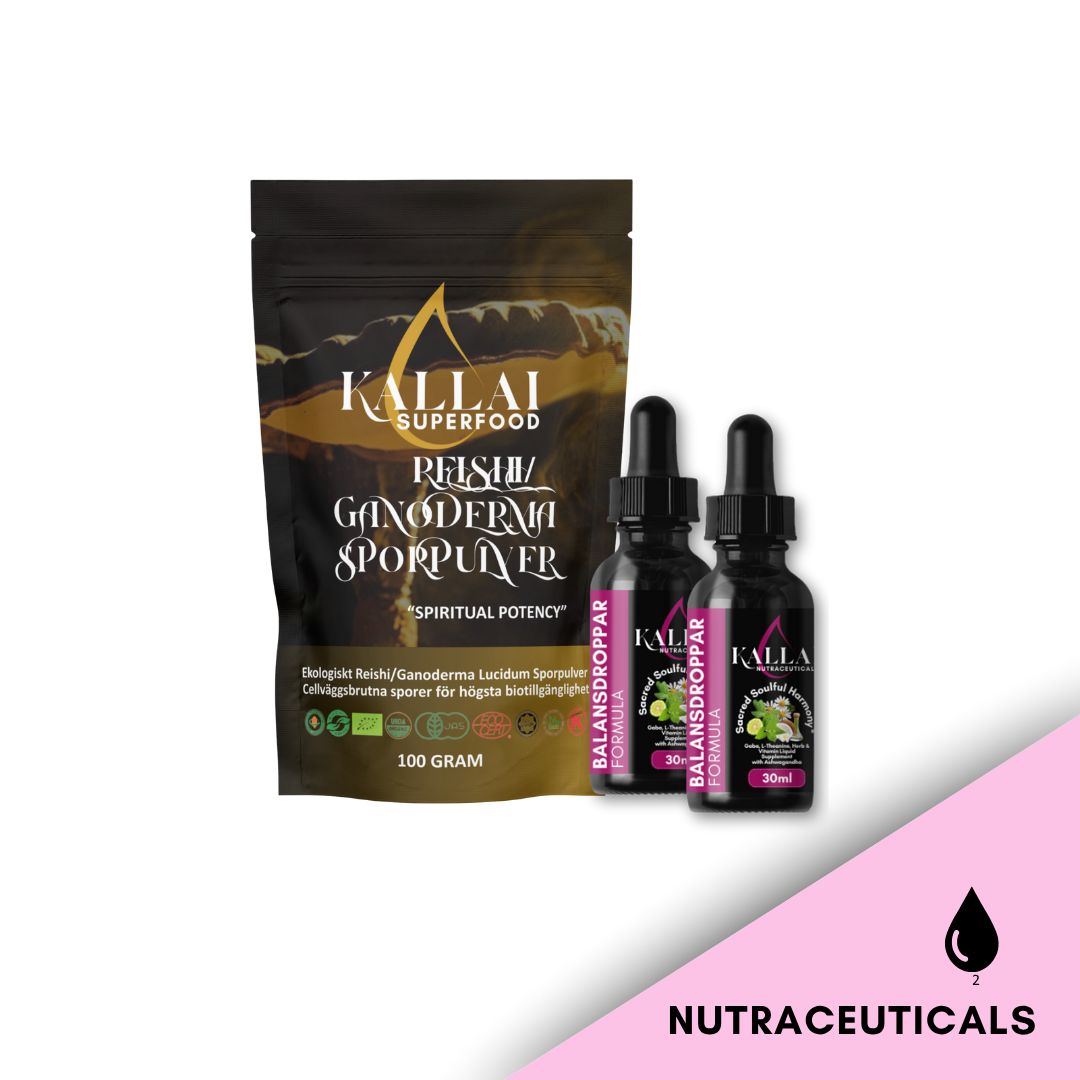 Balansprotokollet Deluxpaket