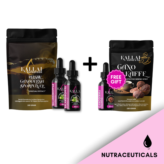 Balansprotokollet Deluxpaket