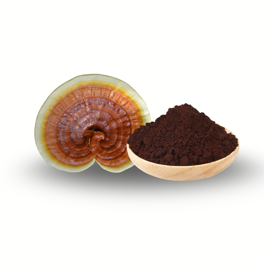 Balansprotokollet Deluxpaket