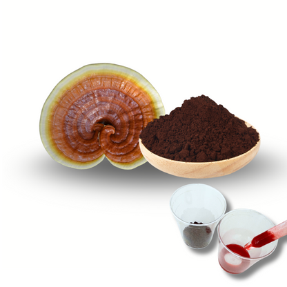 Balansprotokollet Deluxpaket