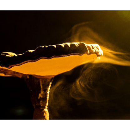 Balansprotokollet Deluxpaket