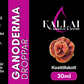 GANODERMA SVAMPDROPPAR, 30ml